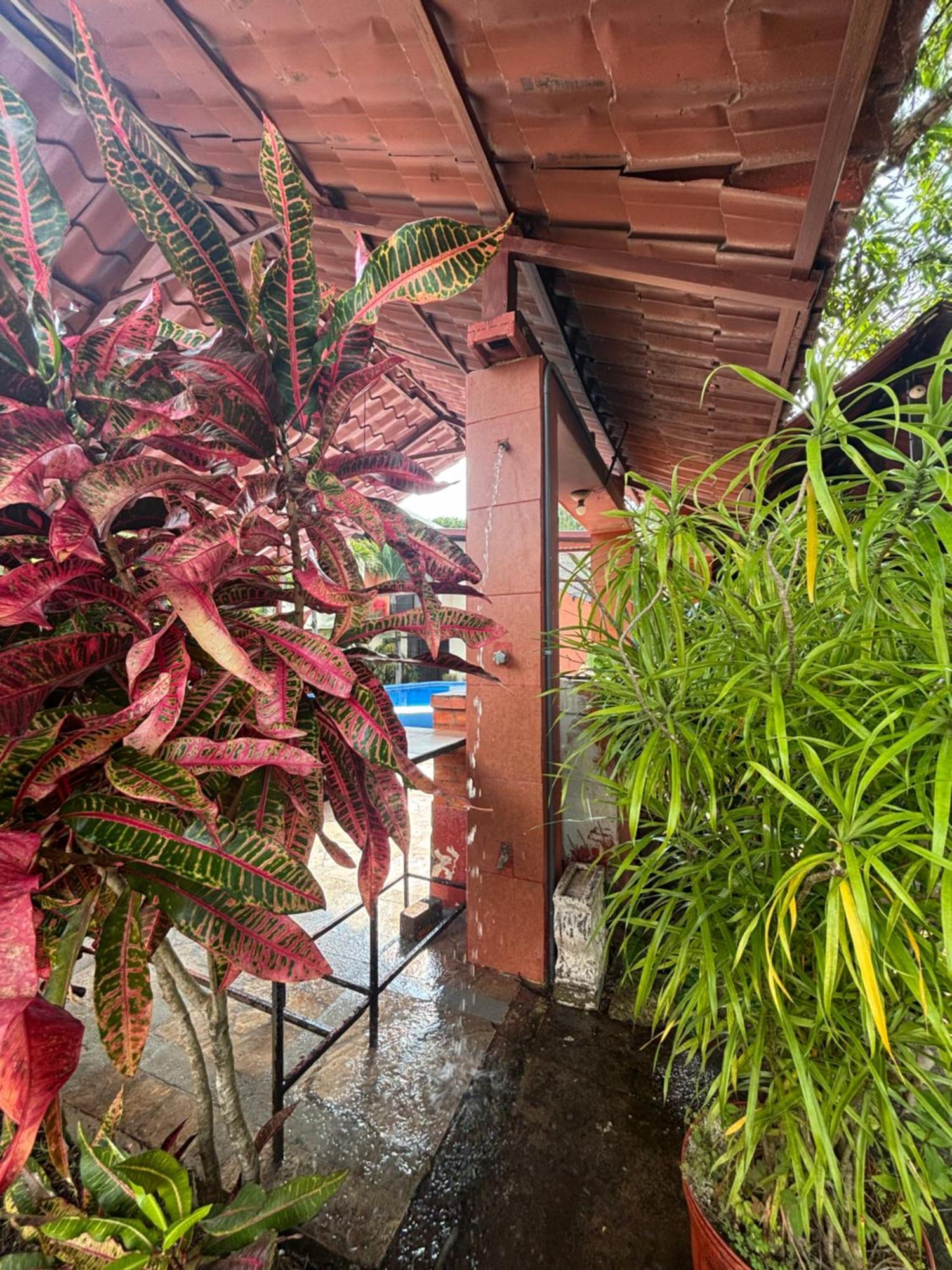 דירות El Roble Casa Jana מראה חיצוני תמונה